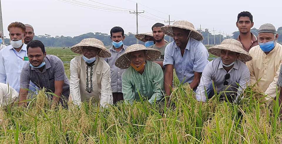 বেতাগীতে  বোরোর মাঠ দিবস পালন ও শস্য কর্তন