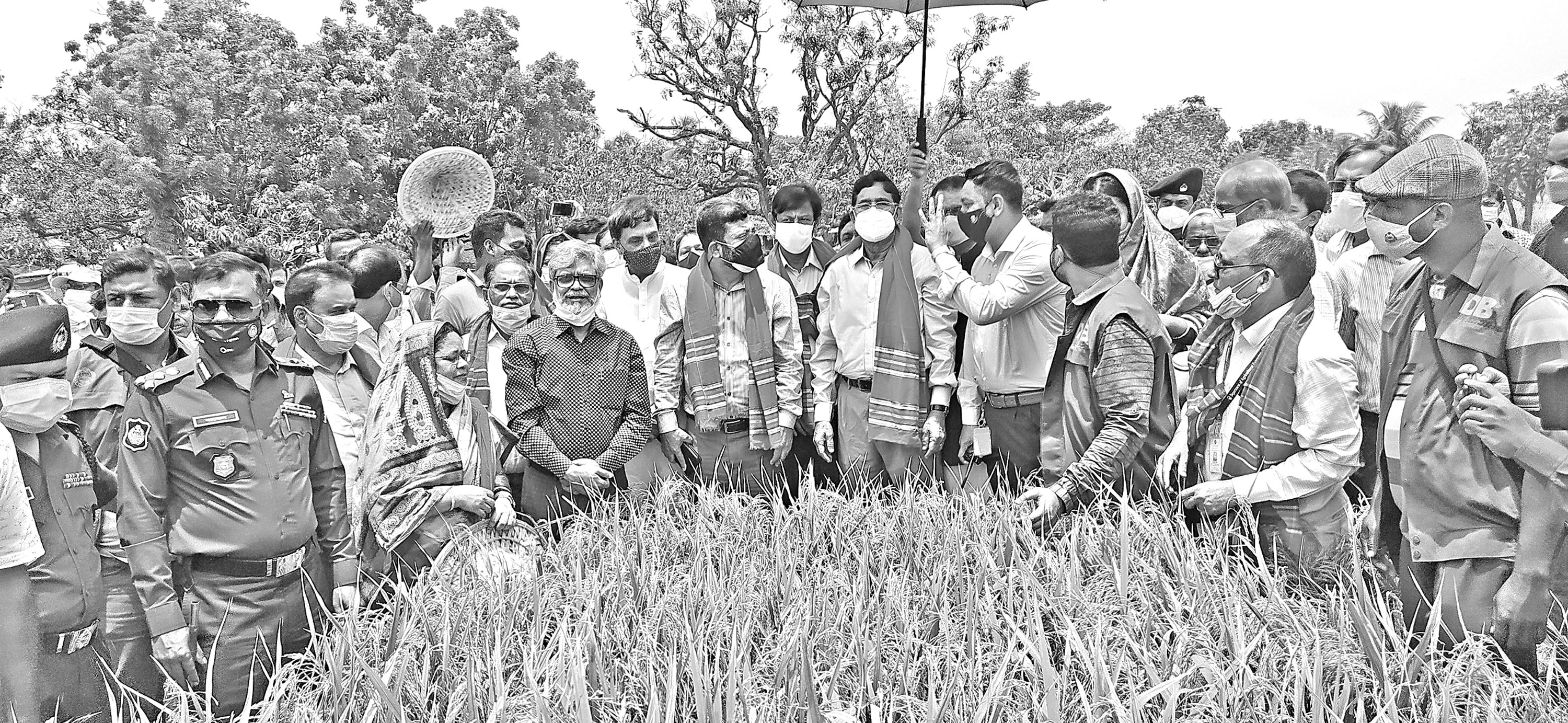 সবার খাদ্য নিশ্চিত করা এখন কঠিন চ্যালেঞ্জ : কৃষিমন্ত্রী