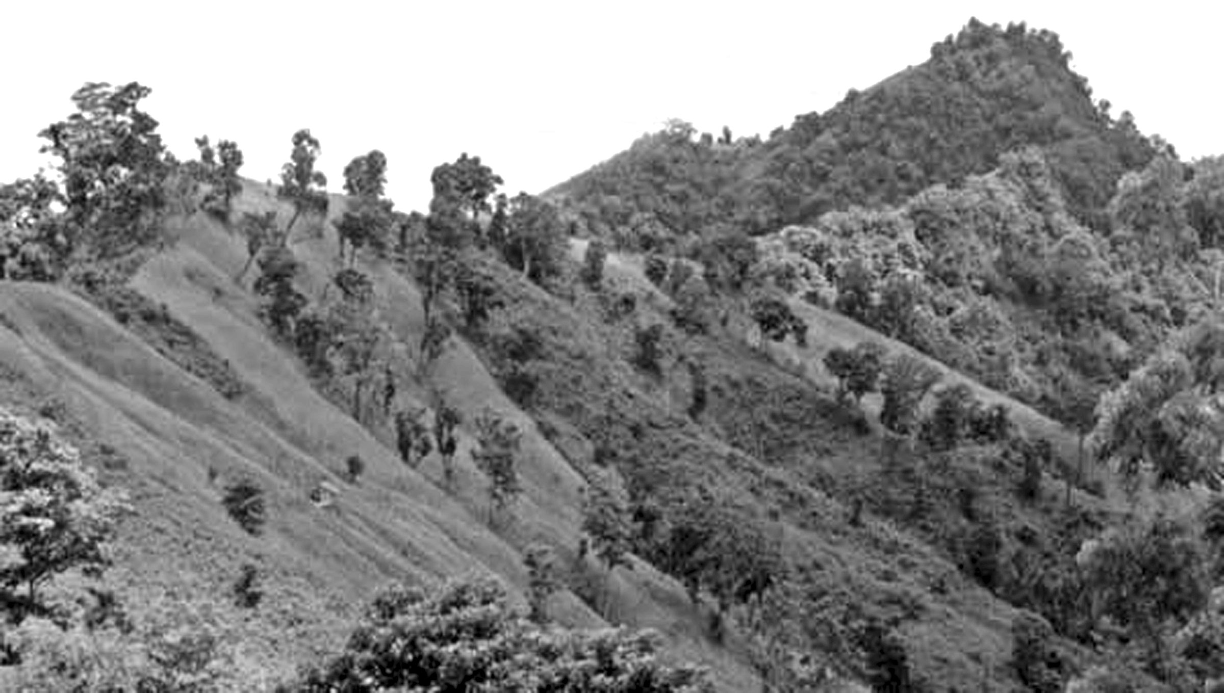 নবম-দশম শ্রেণির পড়াশোনা