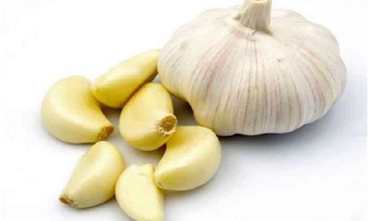 ​চুল পড়া প্রতিরোধে রসুন
