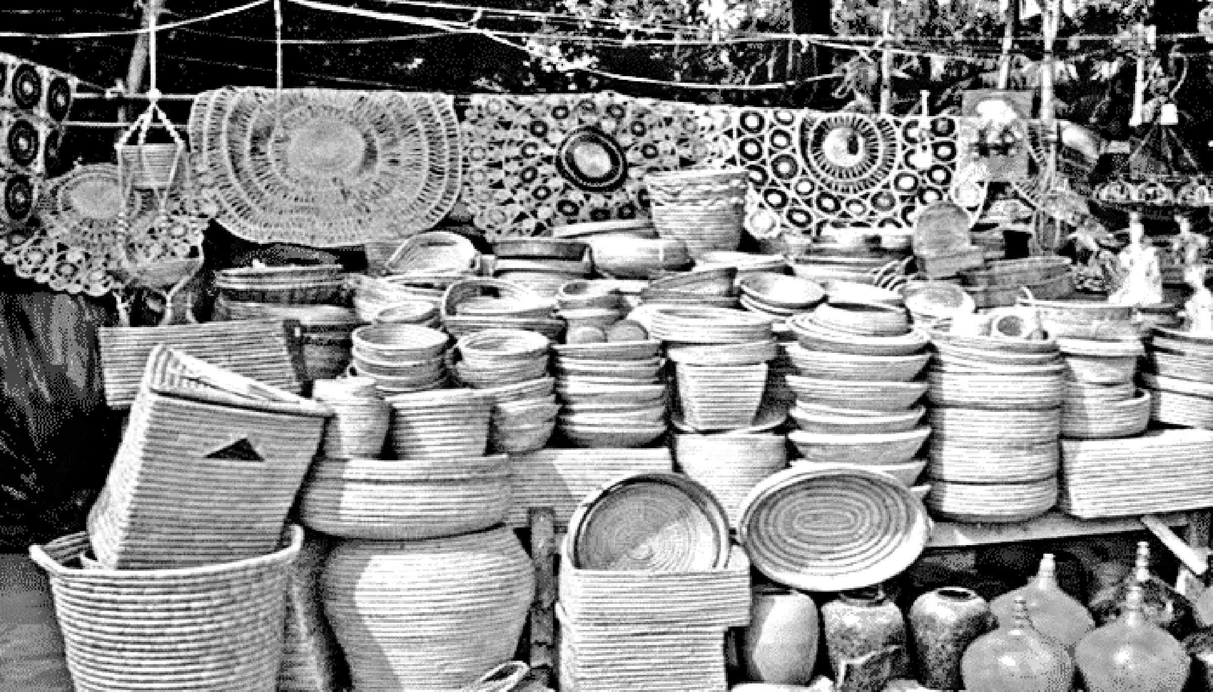 পঞ্চম শ্রেণির পড়াশোনা