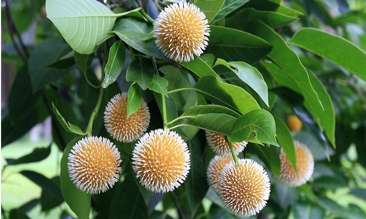 কেমন হতে যাচ্ছে বাংলাদেশের এ বছরের বর্ষাকাল