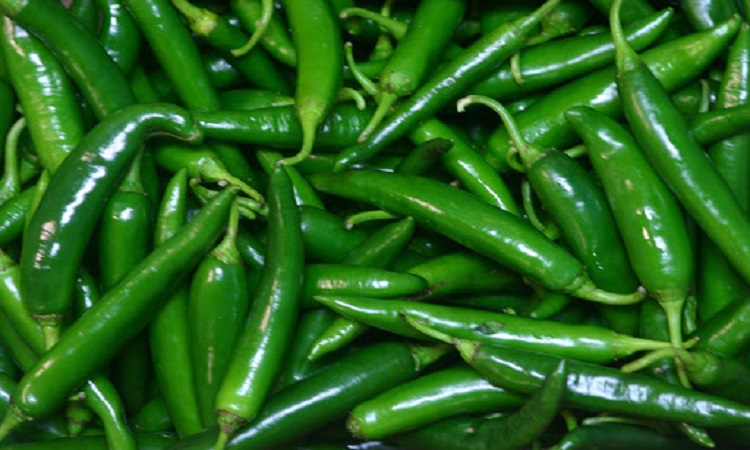 কাঁচা মরিচের যত গুন