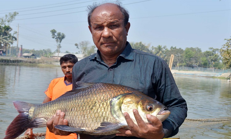 জেলে থেকে বিশাল মৎস্য হ্যাচারির মালিক যতীন্দ্র চন্দ্র বর্মণ