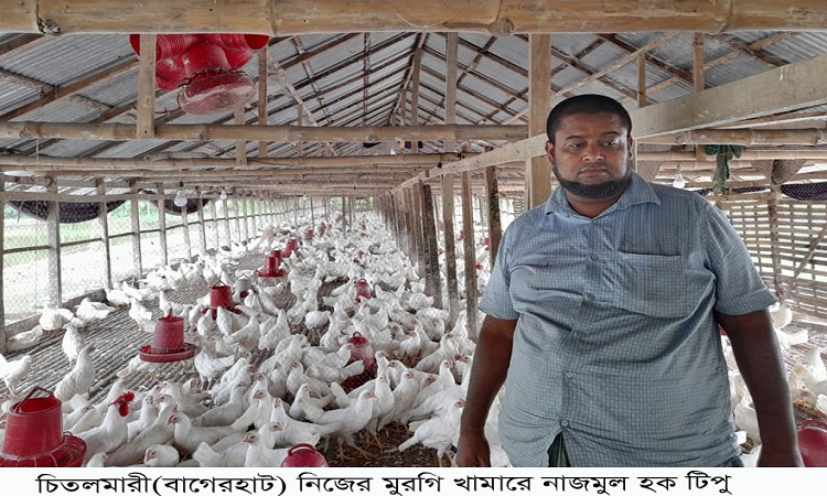 পোল্ট্রি খামারী টিপুর এখন লাভের বদলে গুনতে হচ্ছে লোকসান