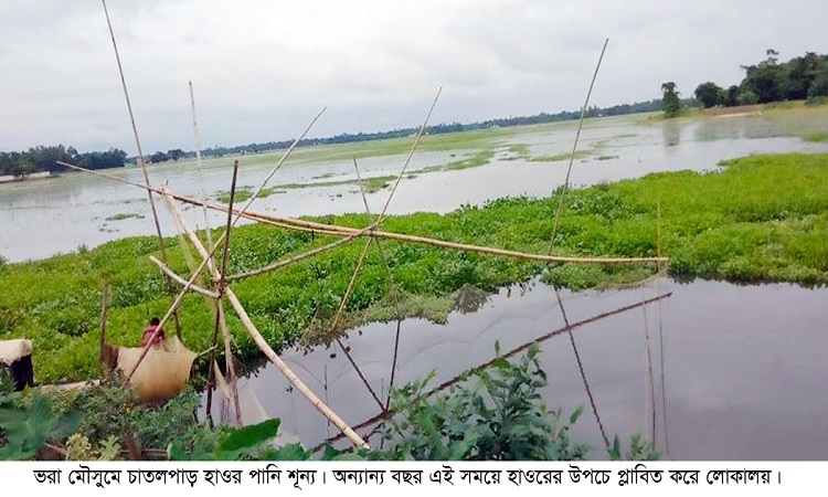 ওসমানীনগরের জেলে পরিবারের দুর্দিন : নদী-খালে মিলছে না মাছ