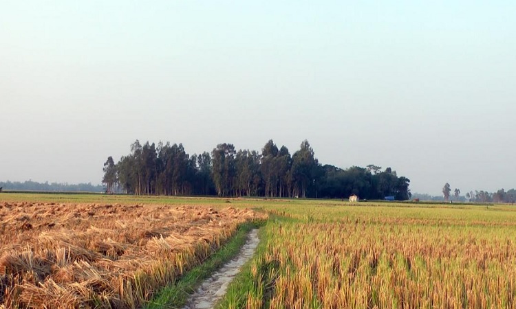 ডাকাতের ভয়ে জনশূন্য একটি গ্রাম!