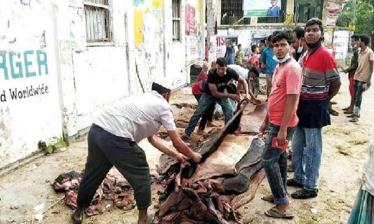 ব্রাহ্মণবাড়িয়ায় কোরবানীর পশুর চামড়া কিনে বিপাকে মৌসুমী ব্যবসায়ীরা