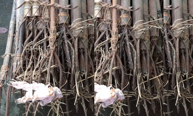 ​  নরসিংদীর অনন্তরামপুর থেকে ৬০টি টেটা উদ্ধার