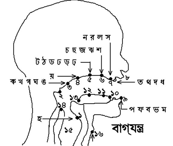 নবম-দশম শ্রেণির বাংলা দ্বিতীয়পত্র