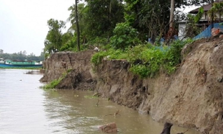 টঙ্গিবাড়ীতে পদ্মার ভাঙনে বিলীন ঘরবাড়ি, দিশেহারা মানুষ