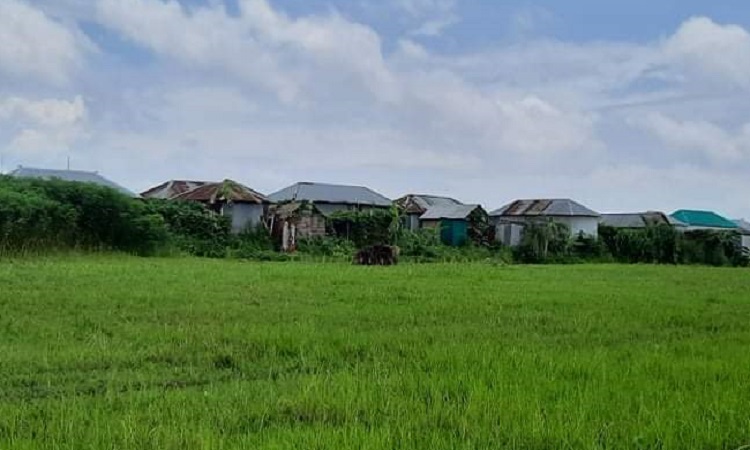 চৌহালীতে চরে  শিক্ষার আলো বঞ্চিত ৪ গ্রামের শিশুরা