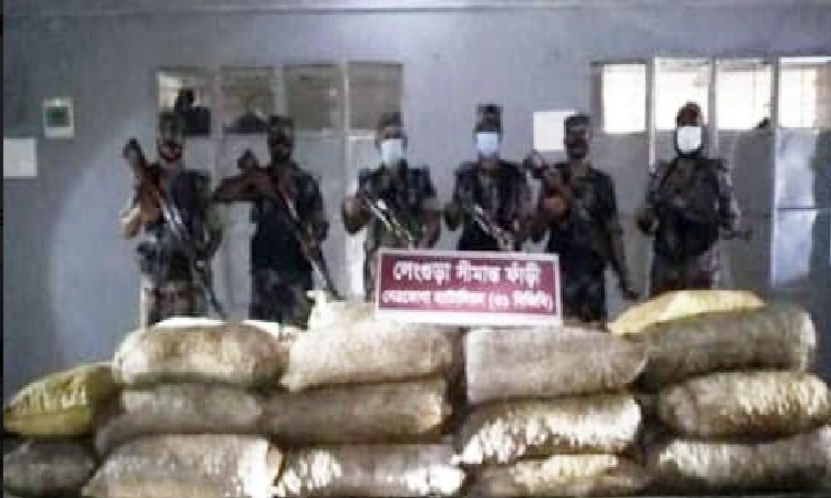 কলমাকান্দায় ভারতীয় সুপারি আটক করেছে বিজিবি