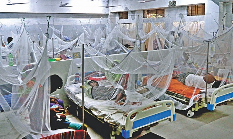 ডেঙ্গু আক্রান্ত আরও ২৮৭ জন হাসপাতালে ভর্তি
