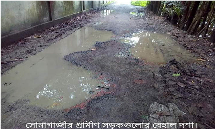 সোনাগাজীতে গ্রামীণ সড়কগুলো ভেঙে জনদুর্ভোগ