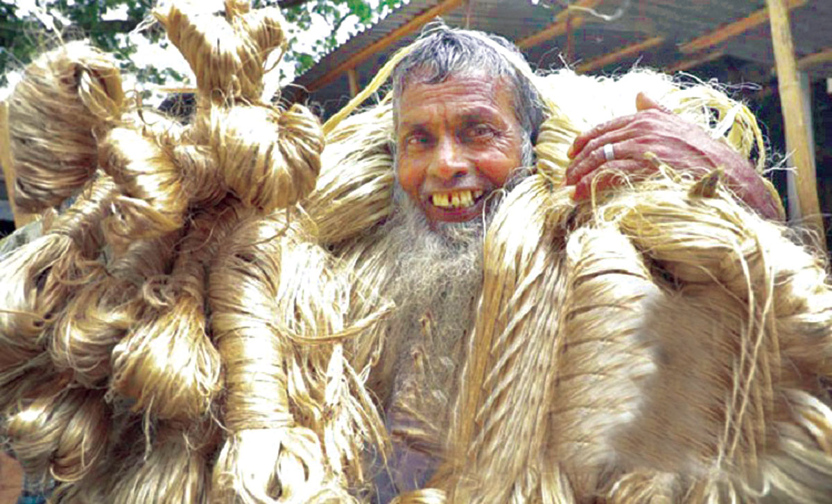 পাটের সুদিন ফিরেছে আবার