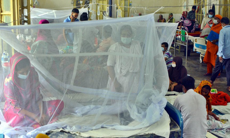 ​২৪ ঘণ্টায় ২৯১ ডেঙ্গু রোগী হাসপাতালে