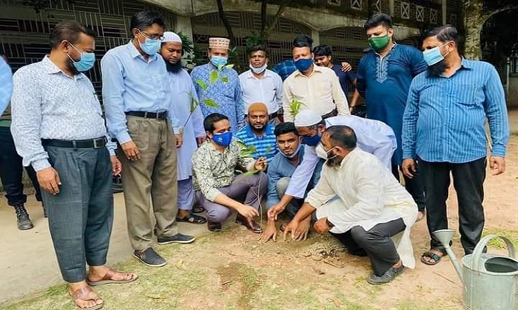 বরুড়ায় শিক্ষাপ্রতিষ্ঠানে দিনব্যাপী বৃক্ষরোপণ কর্মসূচী