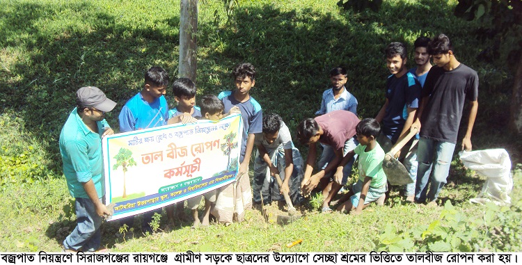 সিরাজগঞ্জে বজ্রপাত নিয়ন্ত্রণে গ্রামীণ সড়কে তালবীজ রোপন