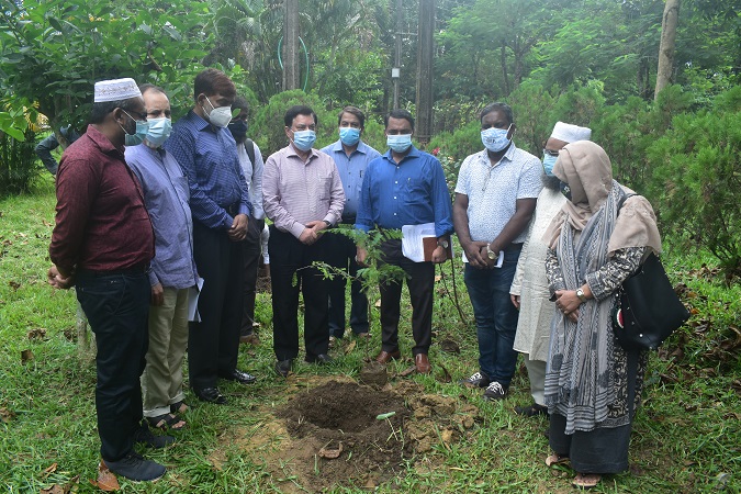 প্রধানমন্ত্রীর জন্মদিনে শাবি প্রশাসনের বৃক্ষরোপণ