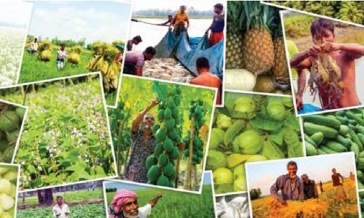 বিশ্বে খাদ্য উৎপাদনে উদাহরণ বাংলাদেশ