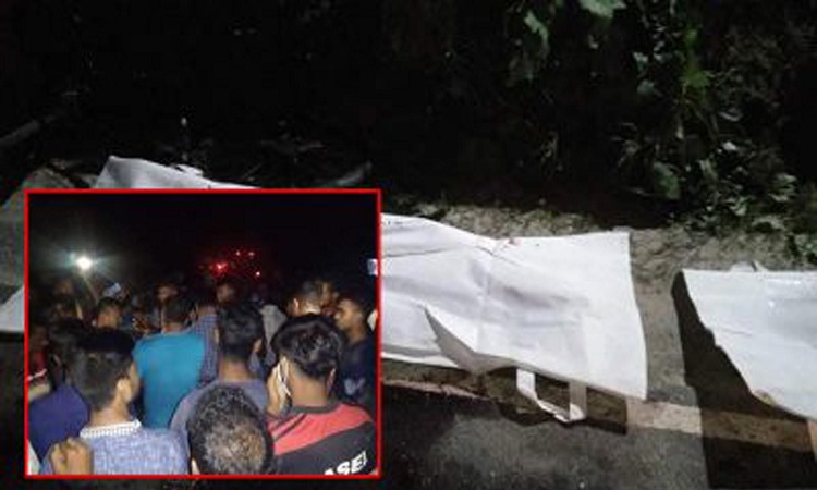 কুষ্টিয়ায় দুই ভাইকে পিষে মারলো ট্রাক