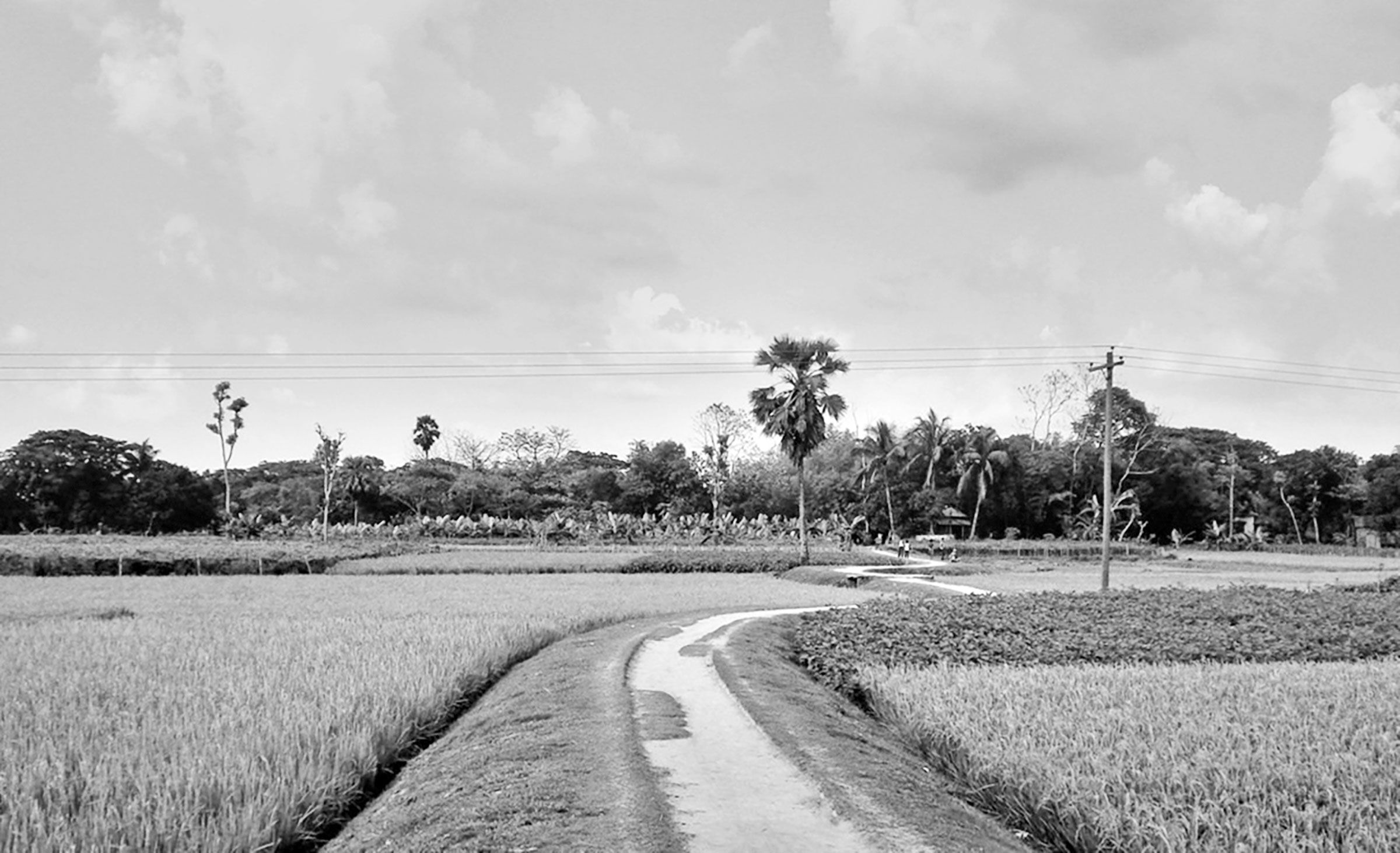 নবম-দশম শ্রেণির বাংলা প্রথম পত্র
