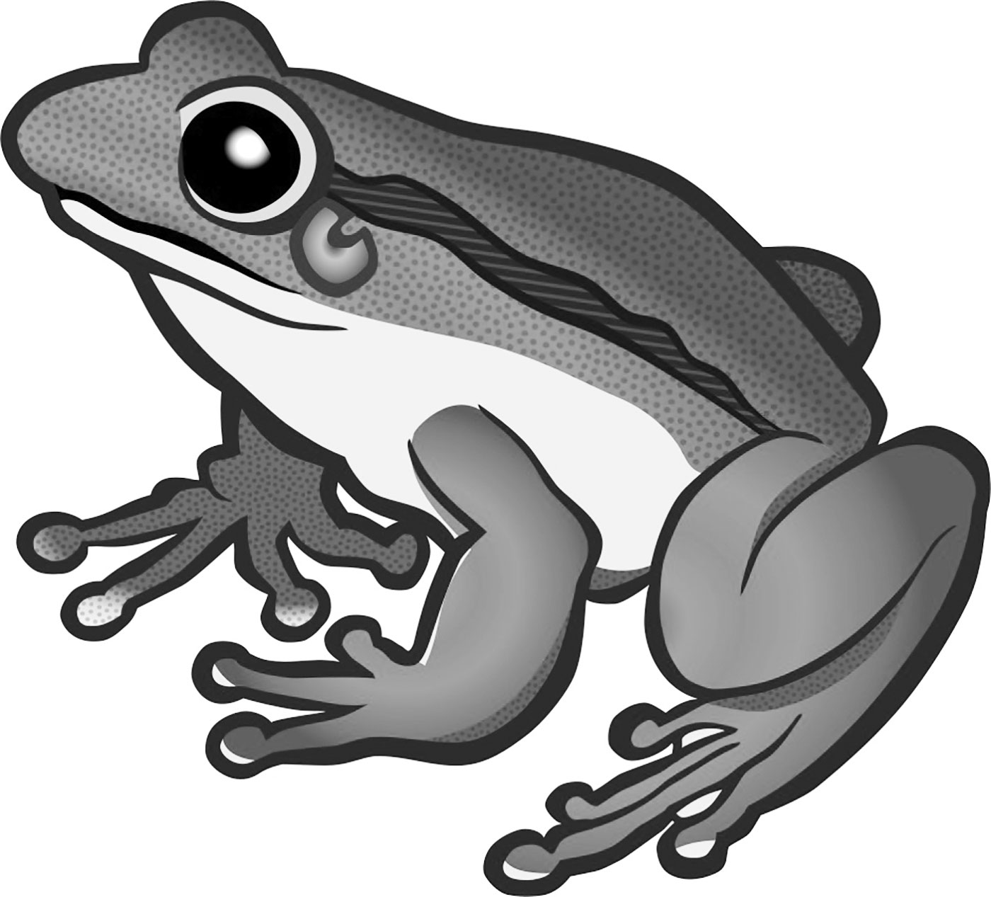 ষষ্ঠ শ্রেণির বিজ্ঞান