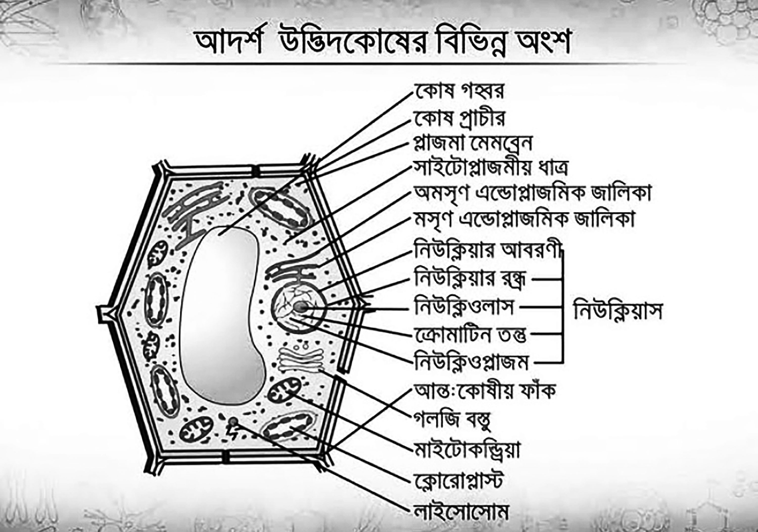 ষষ্ঠ শ্রেণির বিজ্ঞান