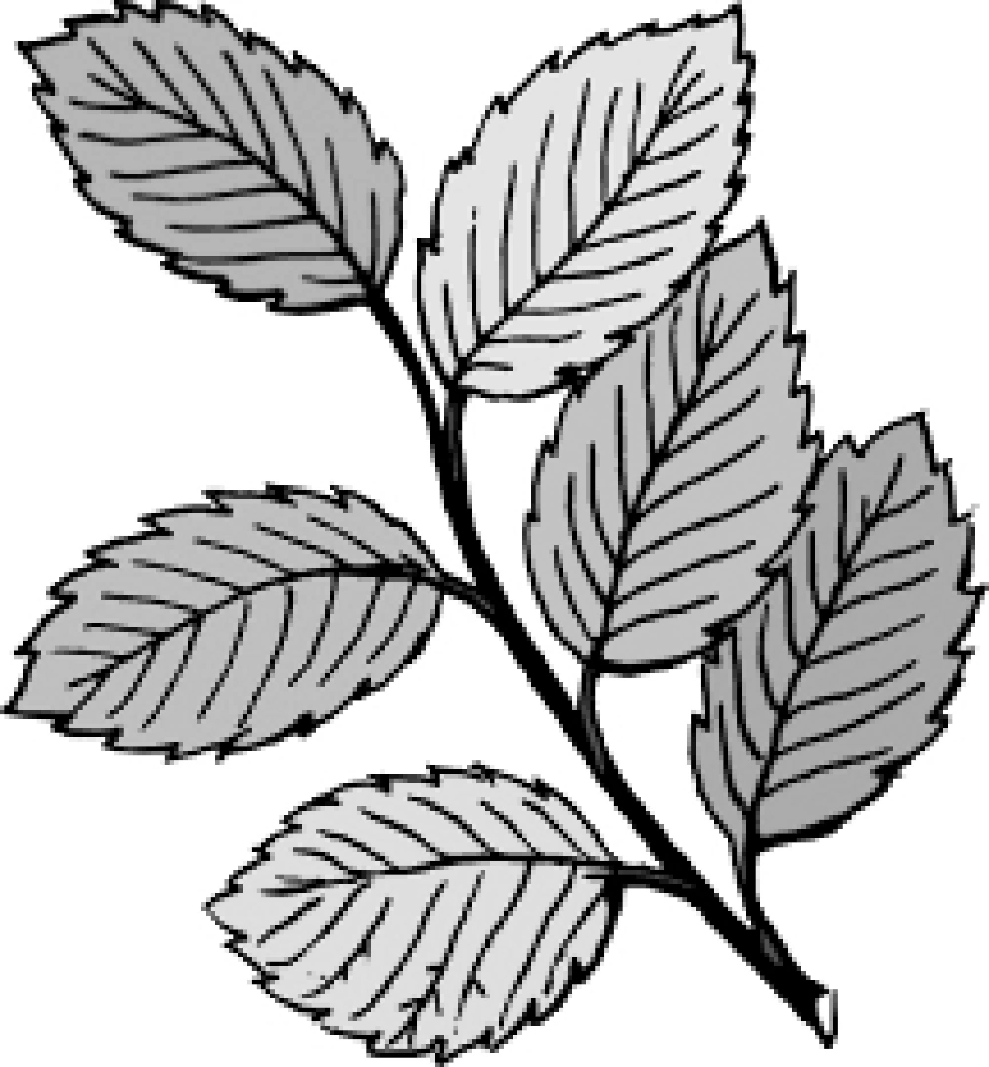 ষষ্ঠ শ্রেণির বিজ্ঞান