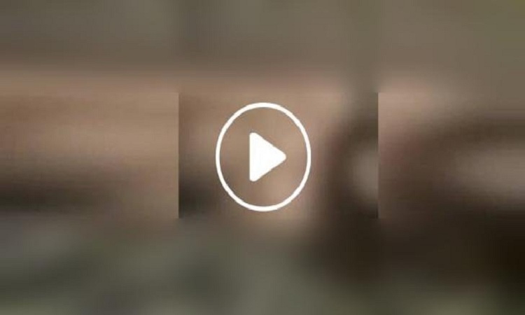 ​  নাচের ভিডিও ভাইরাল হয়ে হারালেন চাকরি, তালাক দিলেন স্বামী