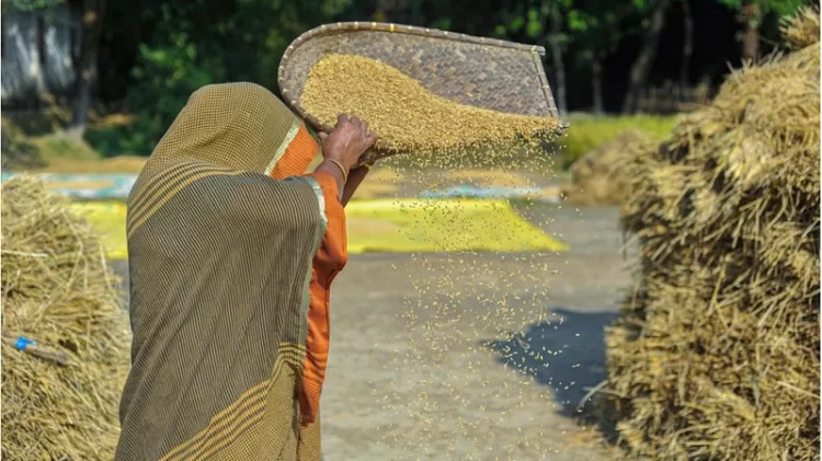 ভ্যাপসা গরমে বছরে ৩২০০ কোটি কর্মঘণ্টা হারাচ্ছে বাংলাদেশ