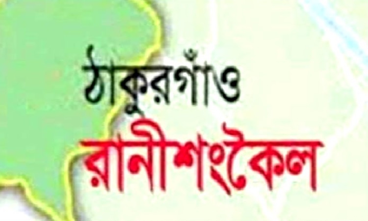 রাণীশংকৈল উপজেলা স্বেচ্ছাসেবক লীগের ত্রিবার্ষিক সম্মেলন স্থগিত