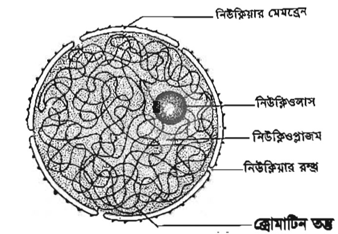 ৭ম শ্রেণির পড়াশোনা বিজ্ঞান