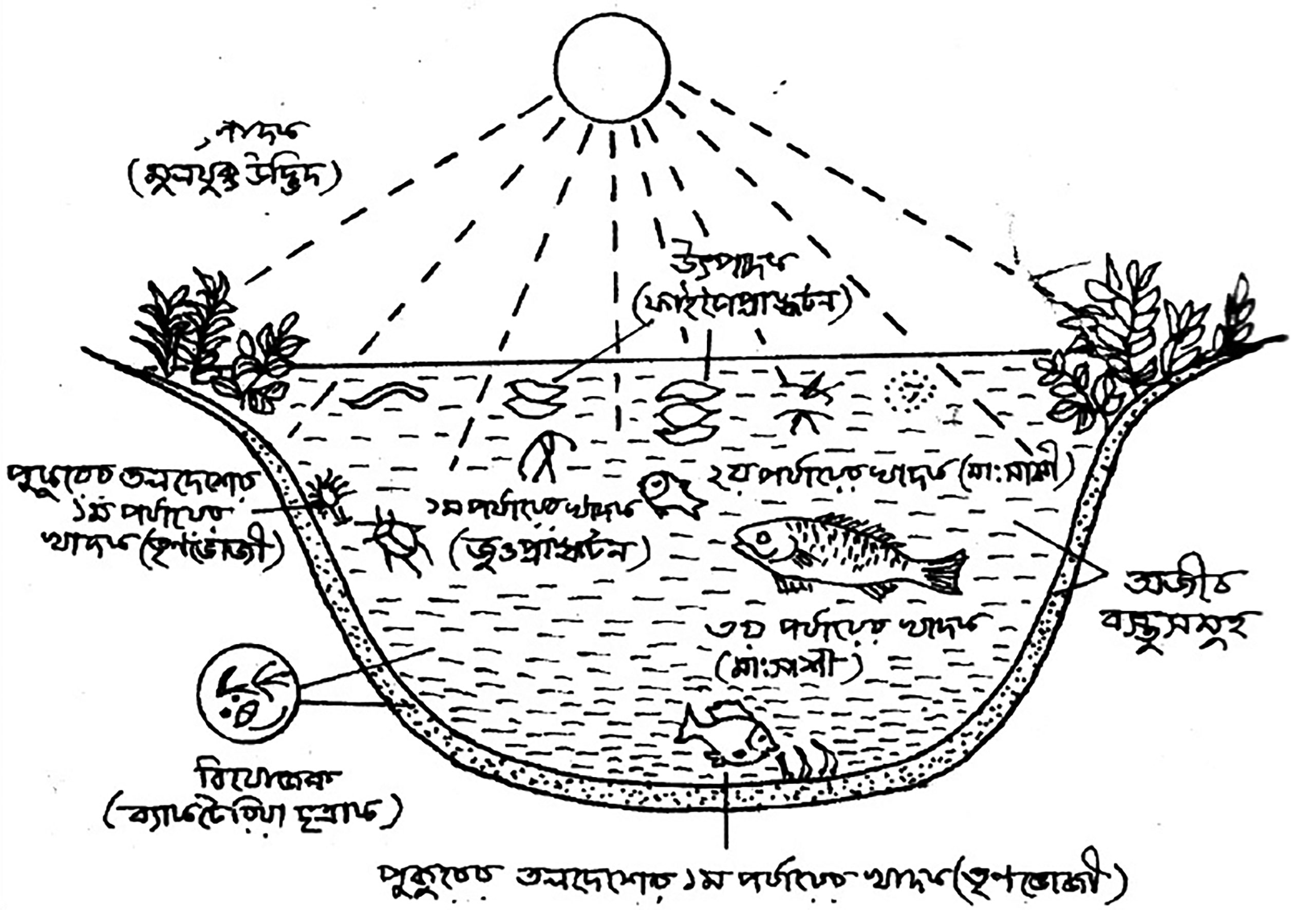পঞ্চম শ্রেণির বিজ্ঞান