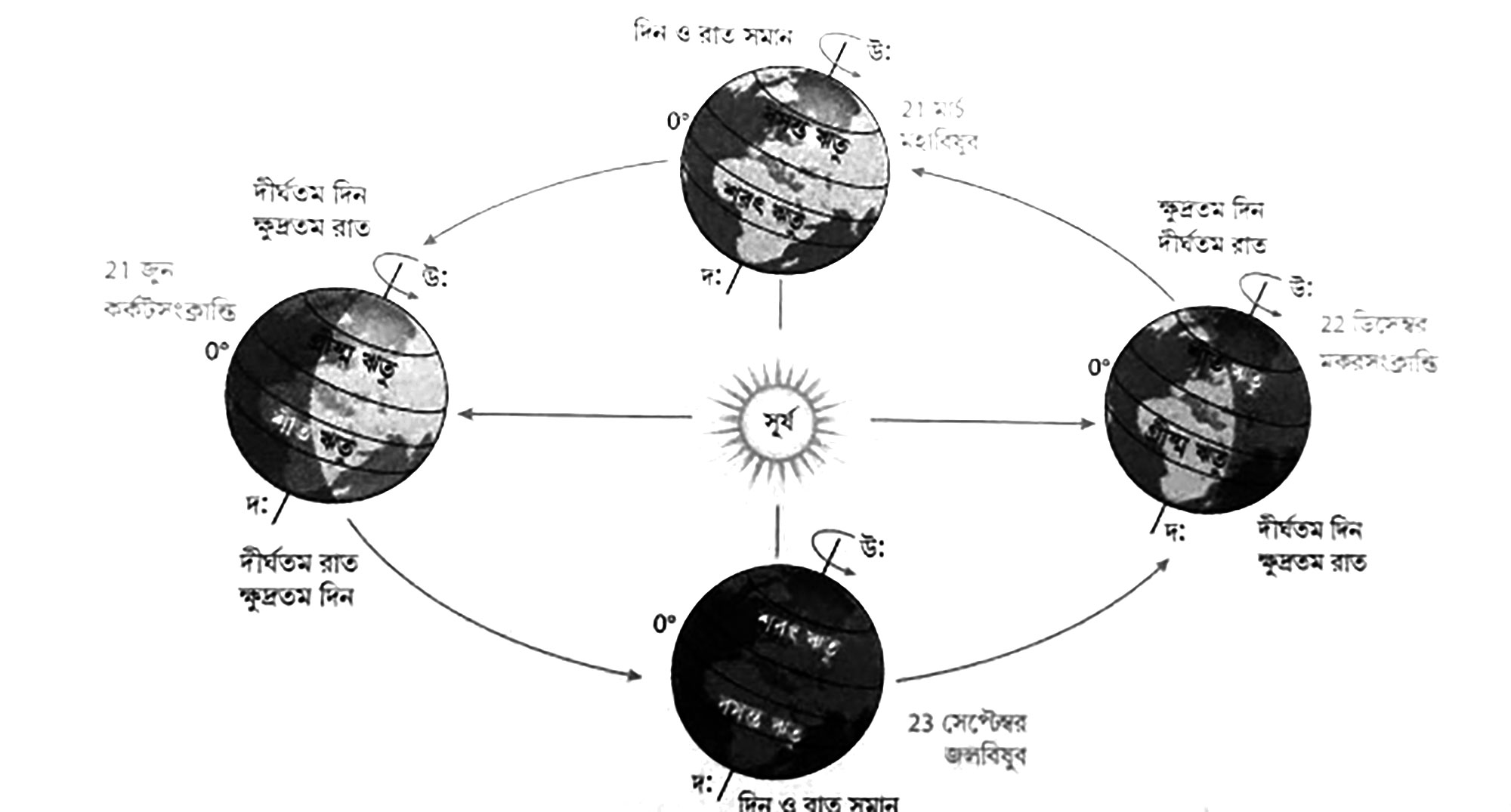 পঞ্চম শ্রেণির পড়াশোনা প্রাথমিক বিজ্ঞান
