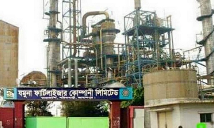 ​​​​​​​গ্যাস সংকটে যমুনা সার কারখানার উৎপাদন বন্ধ