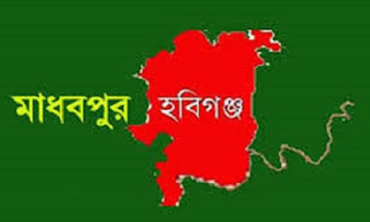 ​​​​​​​মাধবপুরে বিদুৎ স্পৃষ্ট হয়ে টেকনেশিয়ানের মৃত্যু