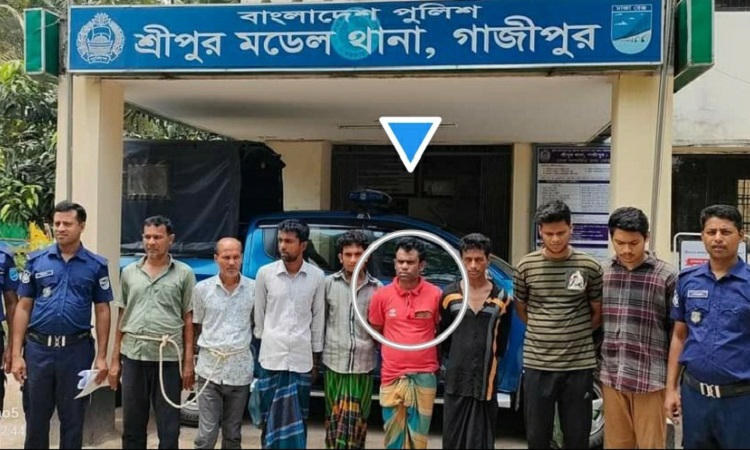 শ্রীপুরে কৃষকের ৫ গরু চুরির ঘটনায় দু'জন কারাগারে!