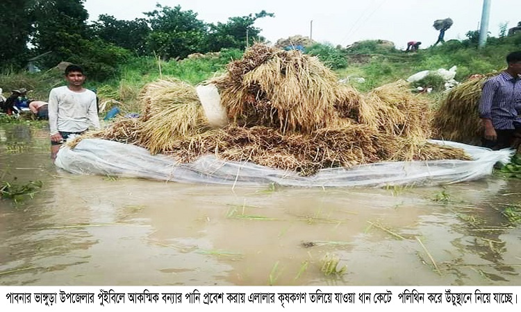 ​​​​​​​ভাঙ্গুড়ায় নদীর পানি বৃদ্ধিতে ফসল তলিয়ে যাবার আশঙ্কা