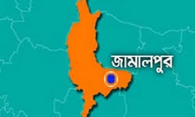 ​​​​​​​সরিষাবাড়ীতে দুই শিক্ষার্থীর মৃত্যু