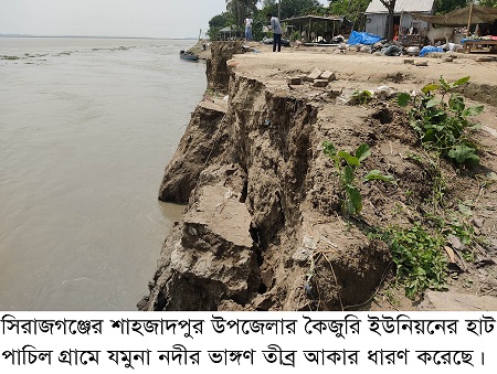 যমুনার পানি কমতে থাকায় বেড়েছে ভাঙ্গনের তীব্রতা  শাহজাদপুরে অর্ধশতাধিক বাড়িঘর নদীগর্ভে বিলীন