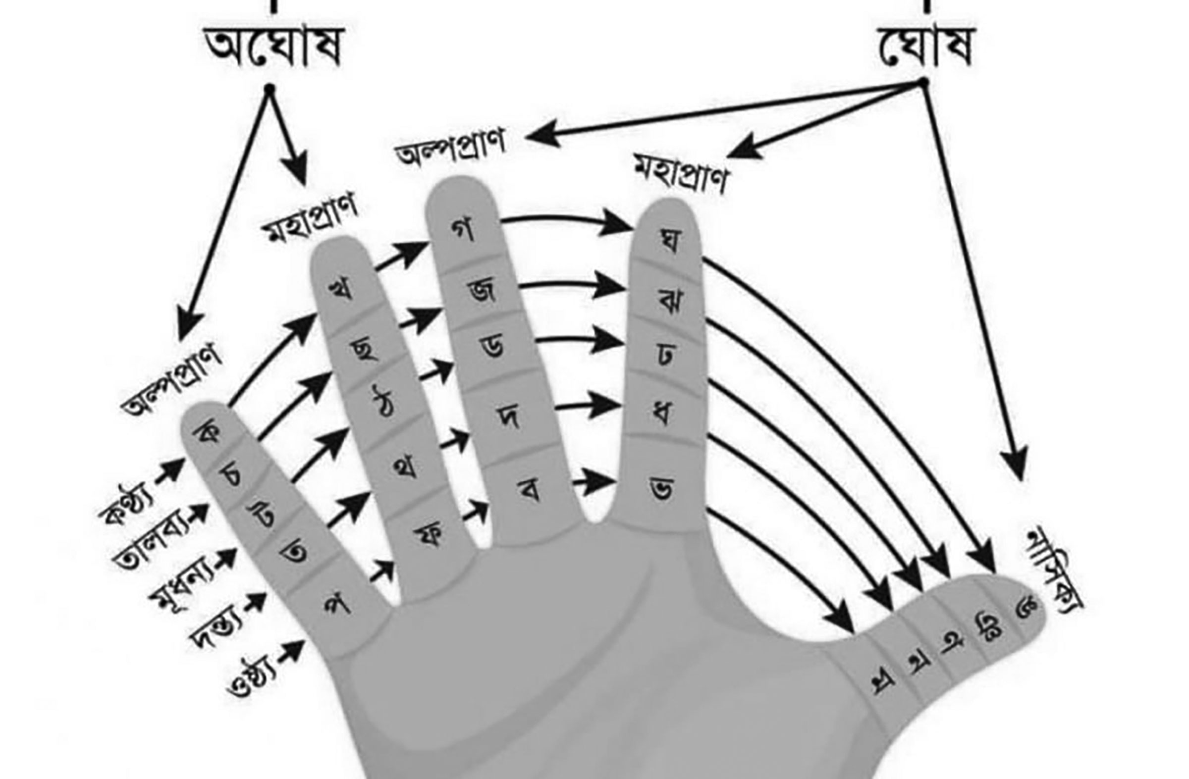 ষষ্ঠ শ্রেণির বাংলা দ্বিতীয়পত্র