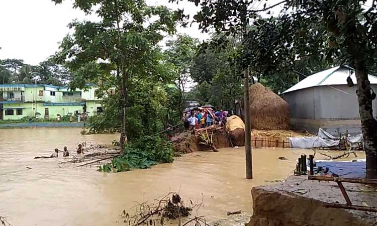 ​​​​​​​ঝিনাইগাতীতে আকস্মিক বন্যায় পানি বন্দী হাজারো মানুষ