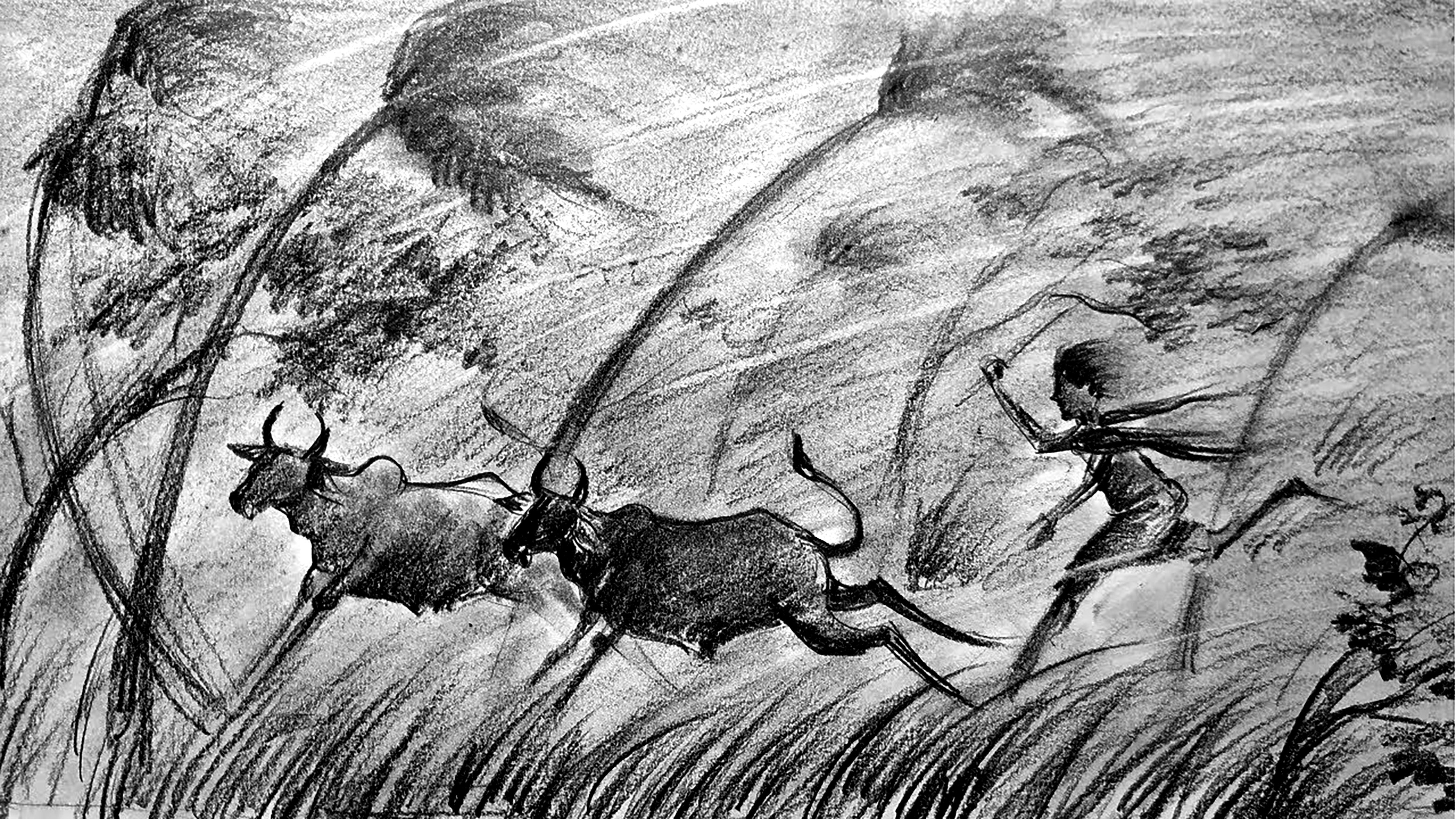 এইচএসসির সমাজকর্ম প্রথম পত্র