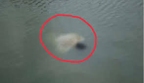 ইসলামপুরে বন্যার পানিতে ডুবে ২০ মাসের শিশুর মৃত্যু