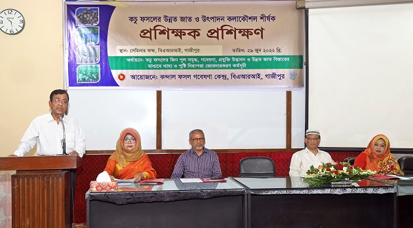 কচু চাষ বাড়ানোর মাধ্যমে মানুষের পুষ্টি নিশ্চিত করা সহায়ক হবে : বারি মহাপরিচালক