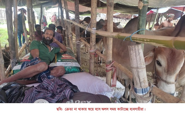 উত্তরায় এখনো জমেনি কোরবানীর পশুর হাট