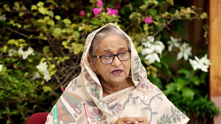 অনেক দেশেই বিদ্যুতের জন্য হাহাকার: প্রধানমন্ত্রী