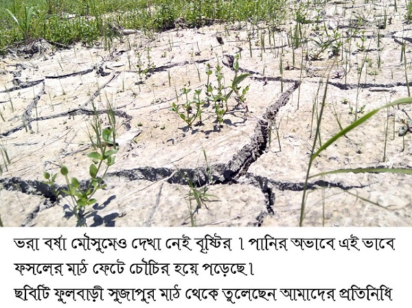 ভরা বর্ষা মৌসুমেও দেখা নেই বৃষ্টির